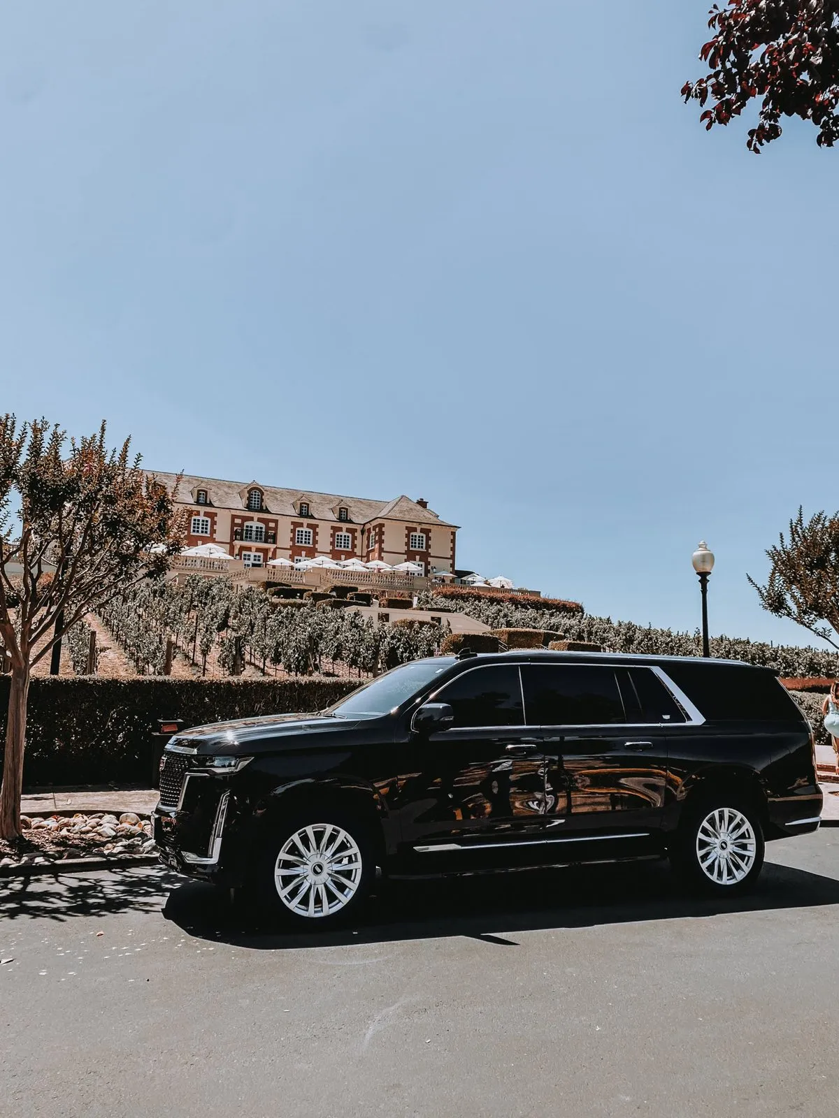Wine tour Sacramento limo vineyard transportation