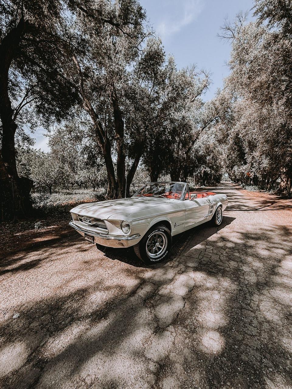 Classic white 1967 Ford Mustang convertible on a tree-lined Sacramento lane